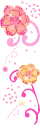 pink flowers