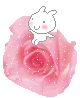 bunny on a rose