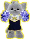 michigan cheerleading kitty