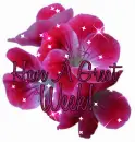 Have A Great Week