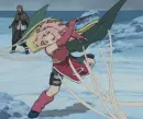 sakura