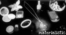 materialistic