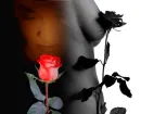 Fantasy
