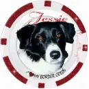 border collie red poker chip jessie