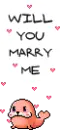 will you marry me?