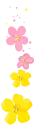 cute flowers