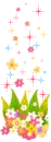 colorful flowers