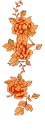 orange roses