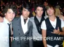 joe.nick.kevin.zac efron