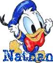 nathan -  donald duck