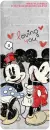 mickey mouse & minnie mouse