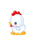 chicken laying egg