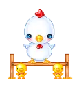 Bawking Chicken