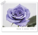have a good time!