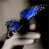 blue butterfly