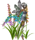 spring fairy