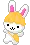 bunny