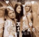 The Dixie Chicks