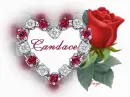 Candace - Diamond Heart Red Rose 