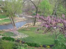 Reedy River Park
