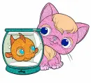 A Cat And A Fish