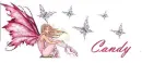 pink candy fairy