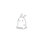  Bunny Eating The Mail