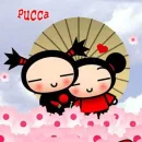 pukka3