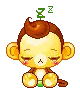 pet_6