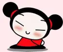 pucca