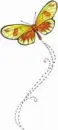 butterfly 3