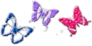 glitter butterfly