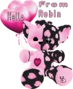 hello from robin