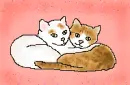 cute cats