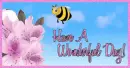 Have A Wonderful Day!