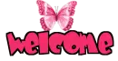 welcome butterfly