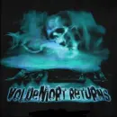 lord voldemort returns