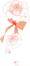 lovely white  roses