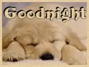 Goodnight