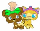 Cat & Dog