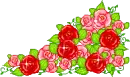roses