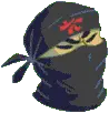 Ninja
