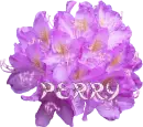 Perry - Purple Floral Bunch 