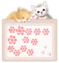 i love my kittens