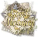 Good Morning Flowers