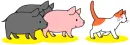 Pigs and Cat