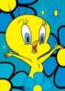 tweety 111