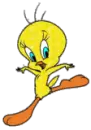 Tweety Bird