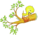 Tweety Bird