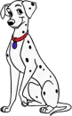 dalmata